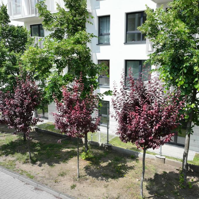 jeleniogorska-mieszkania-dron (19)